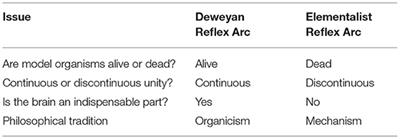 Deweyan Reflex Arc: The Origins of an Idea